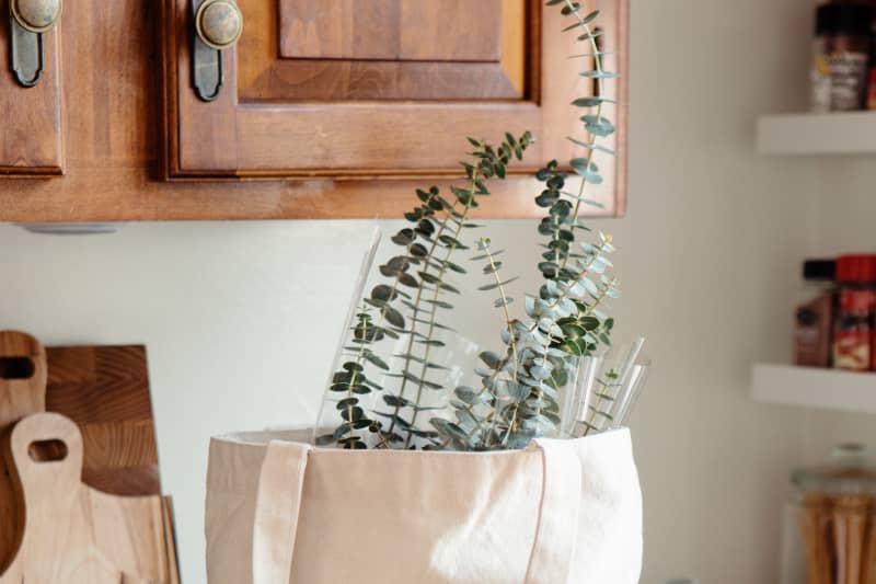 Bouquet of eucalyptus sticking out of grocery tote bag