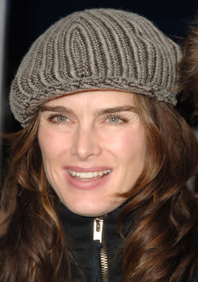 Brooke Shields at the Los Angeles premiere of Columbia's Stranger Than Fiction