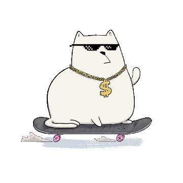 2. ‘Deal with it’ cat on skateboard wearing gold dollar-sign chain