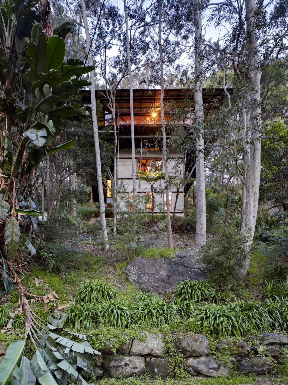 Treetop House