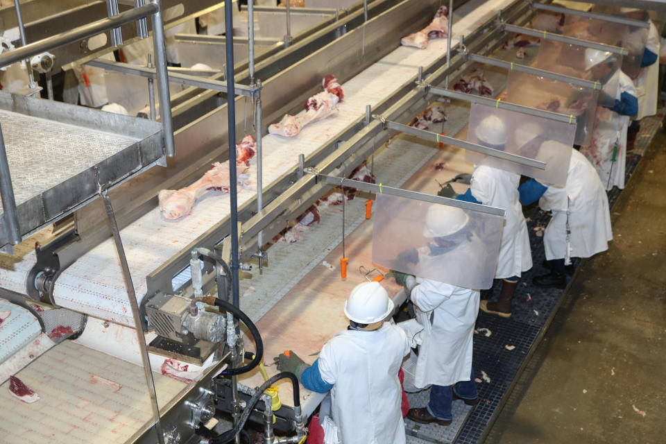 Workers carve up beef at stations separated by plastic dividers at the Greater Omaha Packing beef processing plant in Omaha, Neb., on Wednesday, Nov. 2, 2022. The dividers were one of the measures meat processing companies took during the pandemic to help limit the spread of COVID-19. Greater Omaha is receiving a $20 million grant to expand its operations as part of a larger USDA program to expand meat processing capacity and encourage more competition in the highly concentrated business. (AP Photo/Josh Funk)