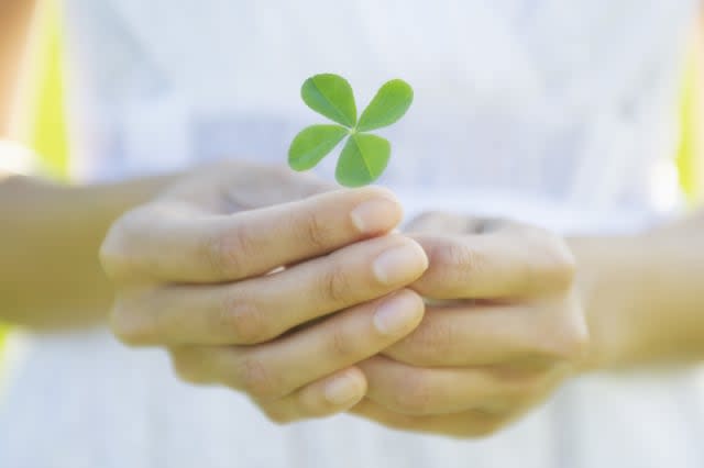 Bizarre superstitions from across the world four-leaf clover