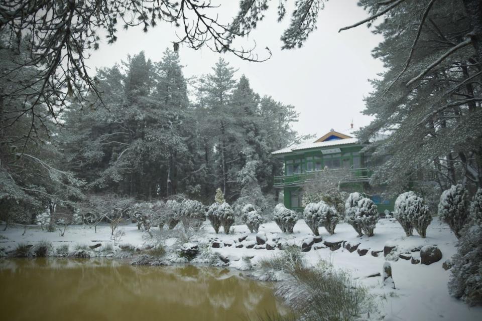 寒流降溫追雪去！全台6處下雪秘境景點推薦