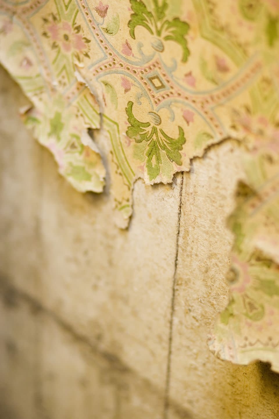 Wallpaper with floral pattern peeling off wall