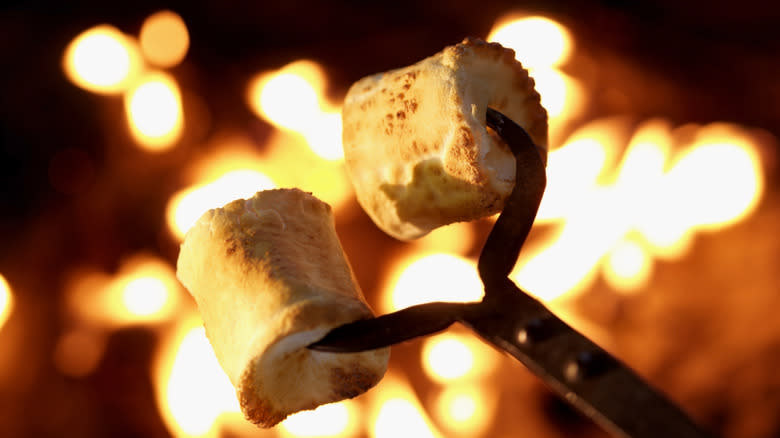 cooking marshmallows on metal skewer