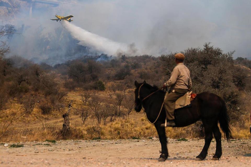 En lo que va del año -de los peores en materia de incendios en la última década- se estima que se afectaron unas 65.000 hectáreas