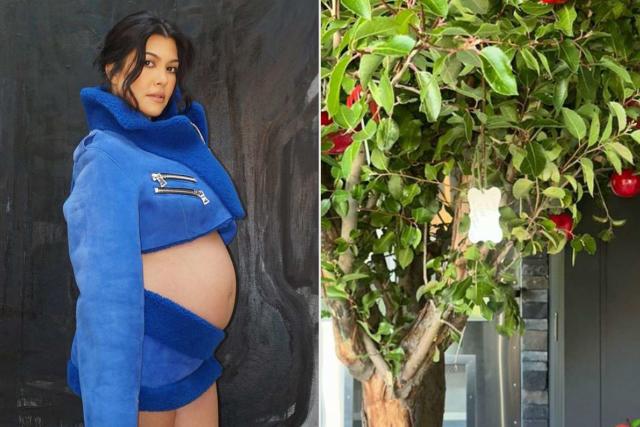 Kourtney Kardashian Reveals Her One Request for Her Baby Shower