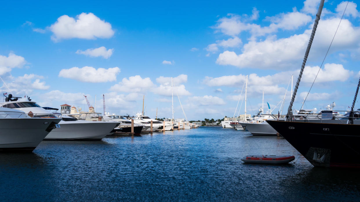 Yachts and sailboats docked at palm harbor marina on a sunny day.