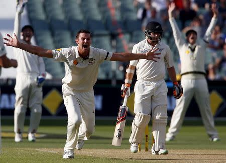 Australia's Josh Hazlewood (2nd L) appeals unsuccessfully with team mates wicketkeeper Peter Nevill (L) and captain Steve Smith (R) for LBW to dismiss New Zealand's Tom Latham (2nd R) during the second day of the third cricket test match at the Adelaide Oval, in South Australia, November 28, 2015. REUTERS/David Gray