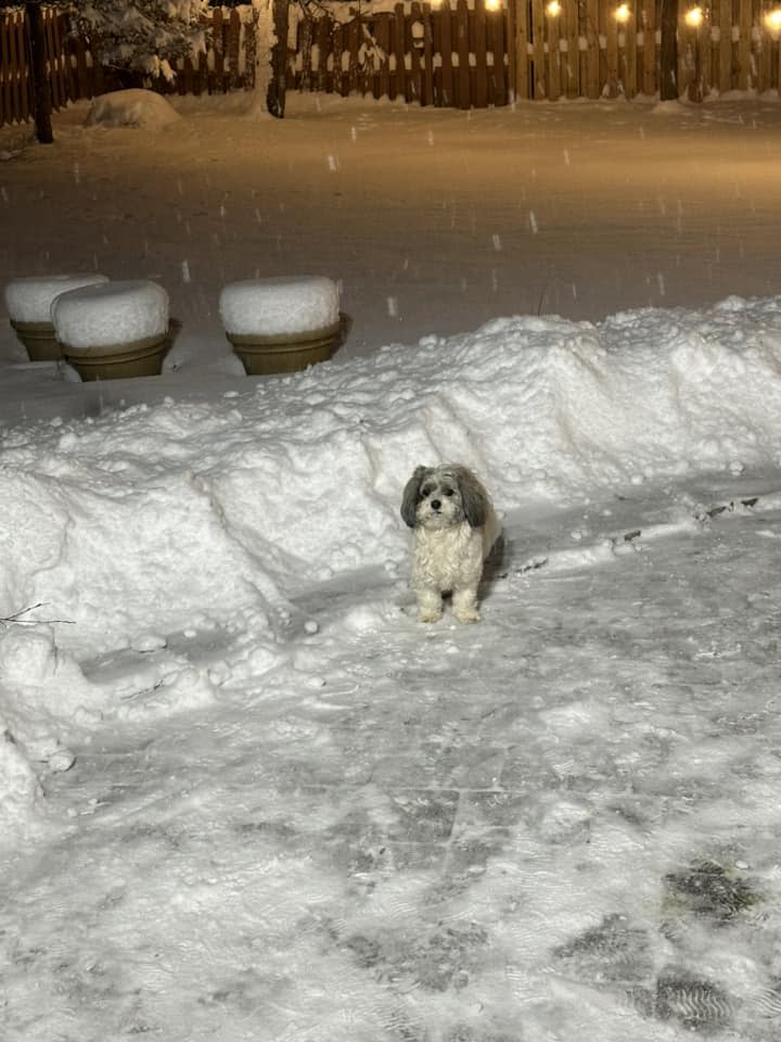 Snow in Macedonia (Courtesy of Cheryl Sablotny)