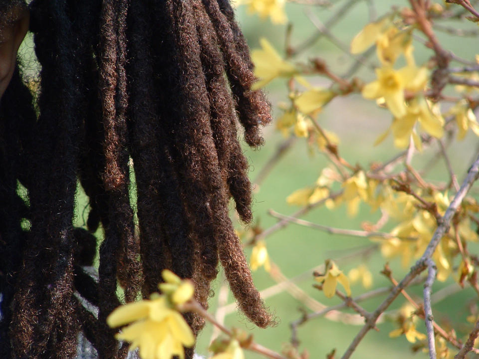 Las rastas son un elemento de identidad cultural y un símbolo de los rastafaris, un movimiento político y religioso fundado en la década de 1930 en Jamaica/Getty Images.