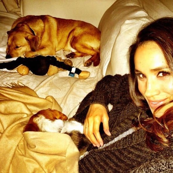  Meghan Markle with her Labrador-shepherd mix, Bogart who she left in the US when she became Duchess of Sussex, and beagle Guy - Pix supplied as a technical service by Tim Stewart News Limited 07932745508.. No copyright inferred