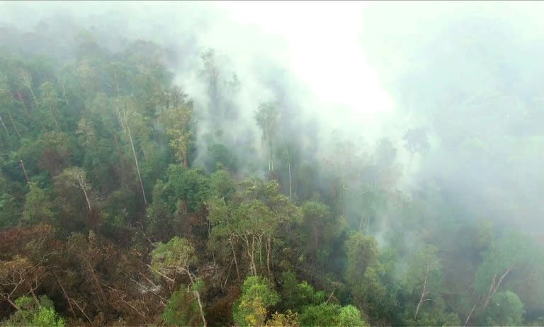 A grab from a Greenpeace video issued on October 6, 2015 shows fires burning around the edge of the Gunung Palung National Park