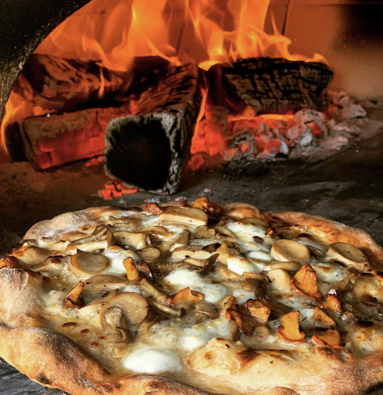 A white pizza topped with foraged mushrooms comes out of the mobile wood-fired oven of Flour Girl & Flame. The business now has a brick-and-mortar location at 8121 W. National Ave., West Allis, and is open for carryout orders.