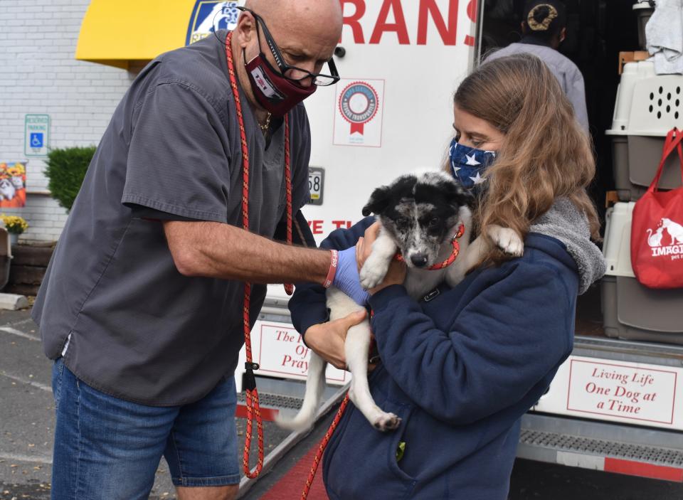 This Nov. 13, 2020 photo provided by Lost Dog and Cat Rescue Foundation shows a handler holding a rescue dog from Georgia in Falls Church, Va. Kim Williams, who volunteers for the Lost Dog and Cat Rescue Foundation says he has tapped into a puppy pipeline to bring some of Georgia’s homeless pet population to the mid-Atlantic region, where demand is outrunning the number of dogs available for adoption.(Kim Williams/The Lost Dog and Cat Rescue Foundation via AP)