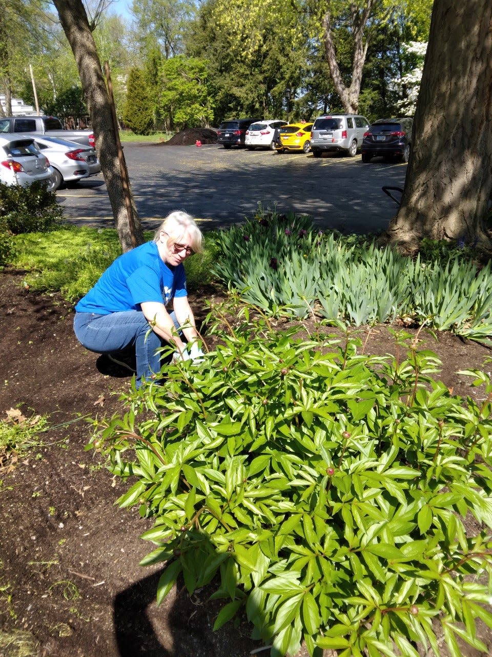 Cooper Standard customer service representative Vickie Richmond weeds a flower bed Friday at the Reeves Museum in Dover during the United Way of Tuscarawas County’s annual Day of Caring.