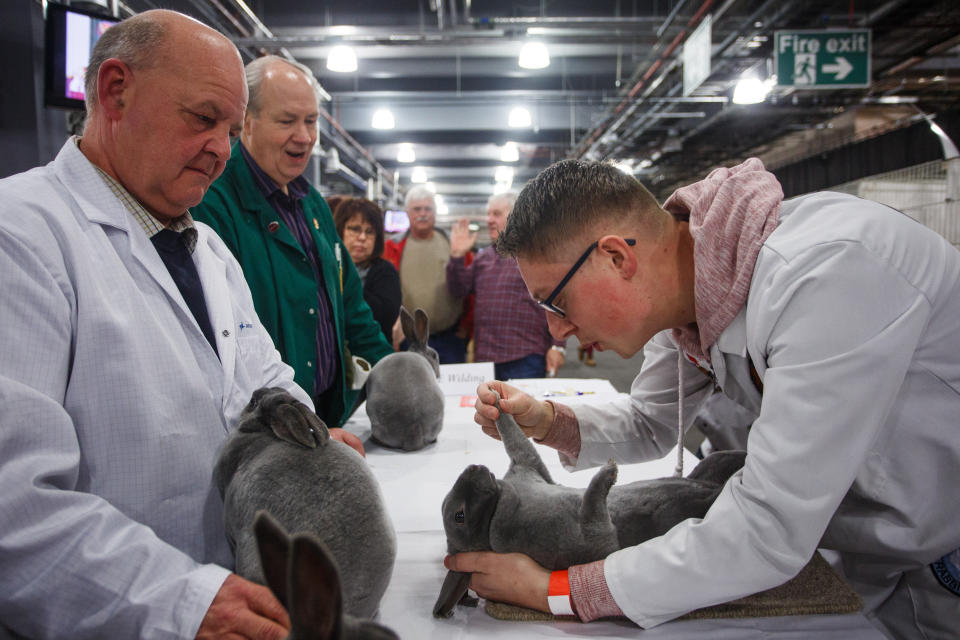 Thousands of people flocked to the UK’s longest-running small animal show this weekend