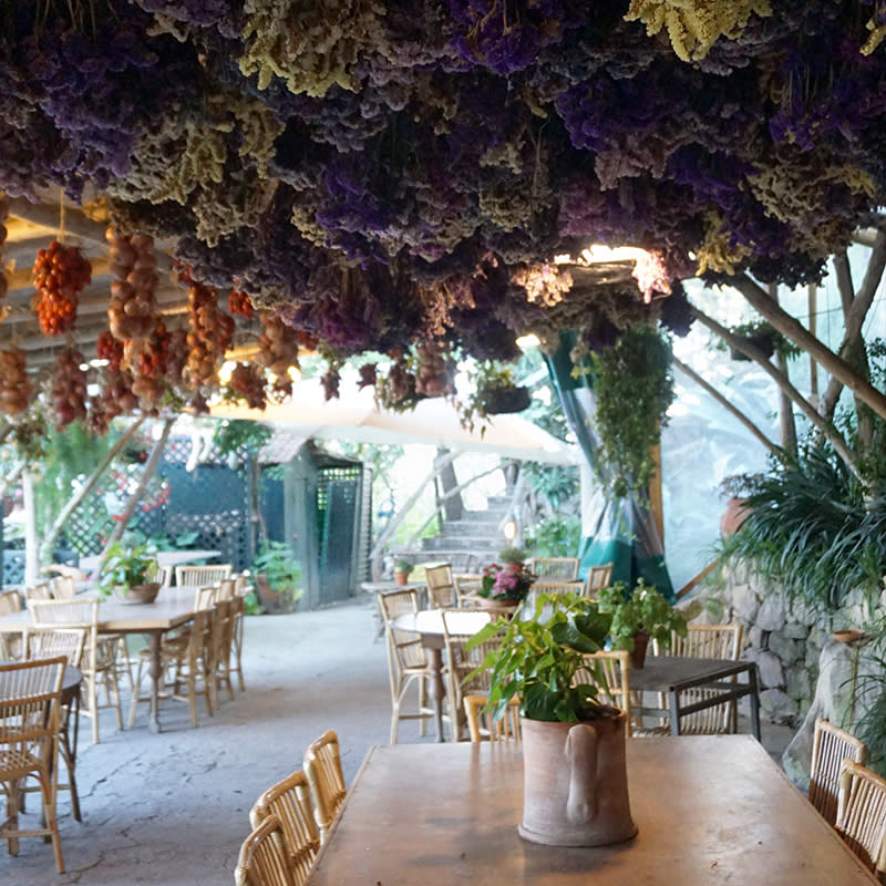 Farm-To-Table Lunch, Sorrento