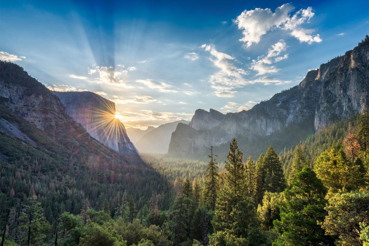 Yosemite National Park