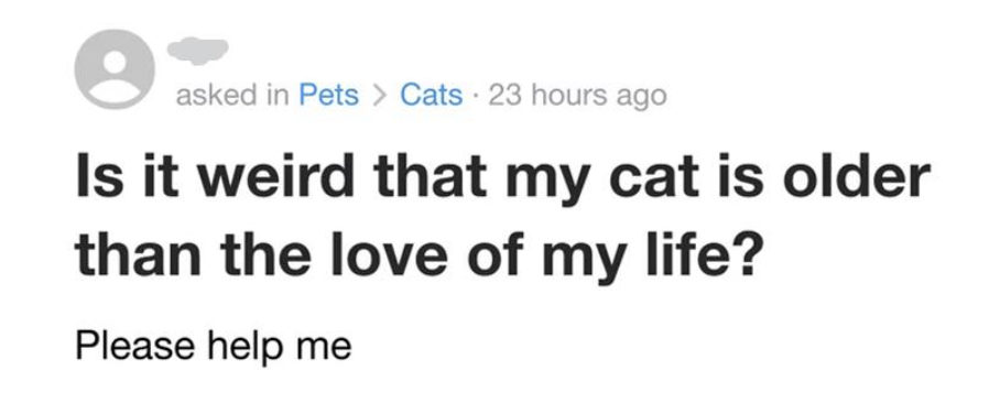 "Is it weird that my cat is older than the love of my life? Please help me"