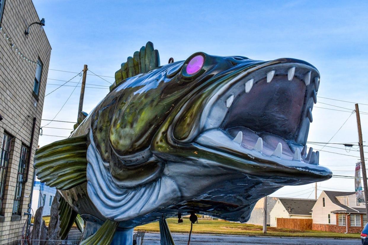 Wylie, 20-foot-long, 600-pound fiberglass walleye, will drop from the sky at midnight in downtown Port Clinton to kick off the New Year during this year’s Walleye Drop.