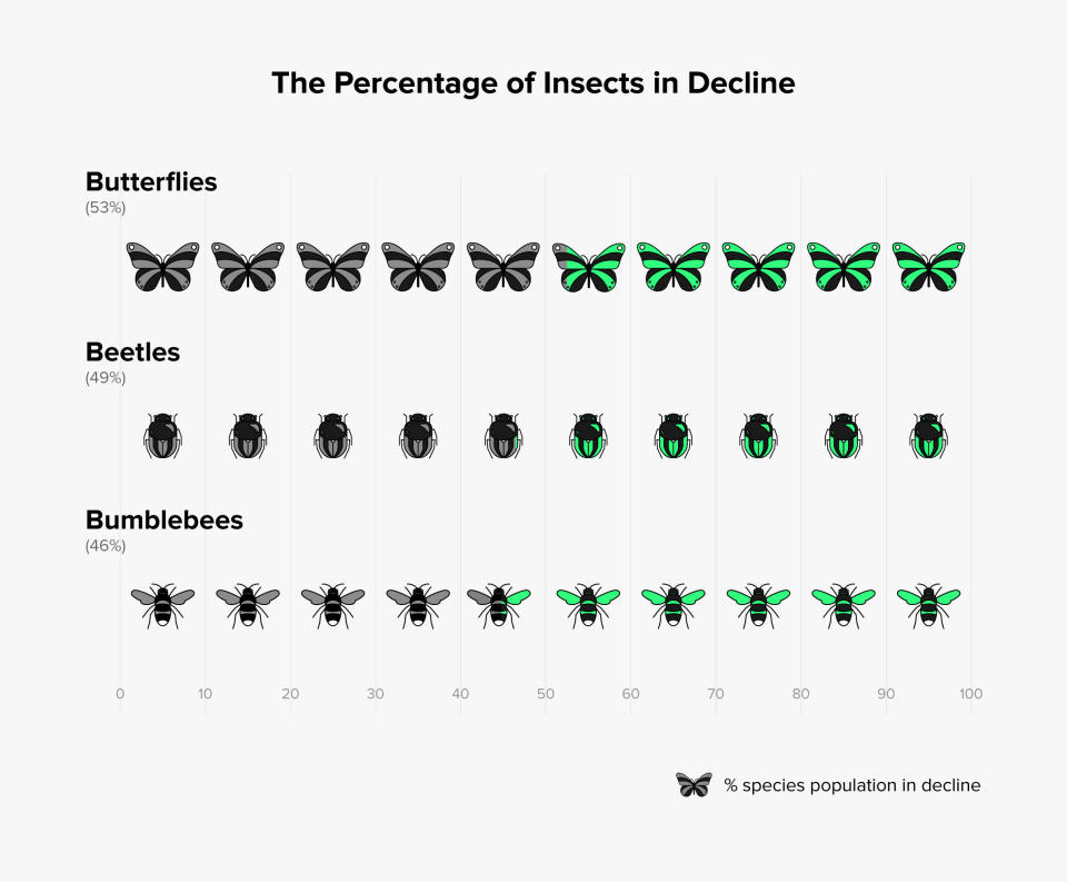 A major assessment of insect studies conducted over the last few decades found that 41 percent of insects are in decline. Source:&nbsp;S&aacute;nchez-Bayoa and Wyckhuy, Biological Conservation, 2019 (Photo: )