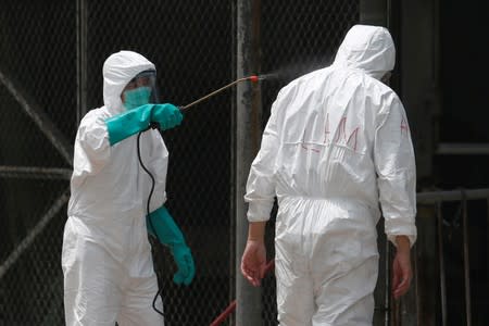 FILE PHOTO: A health officer receives disinfection after culling poultry at a wholesale market in Hong Kong