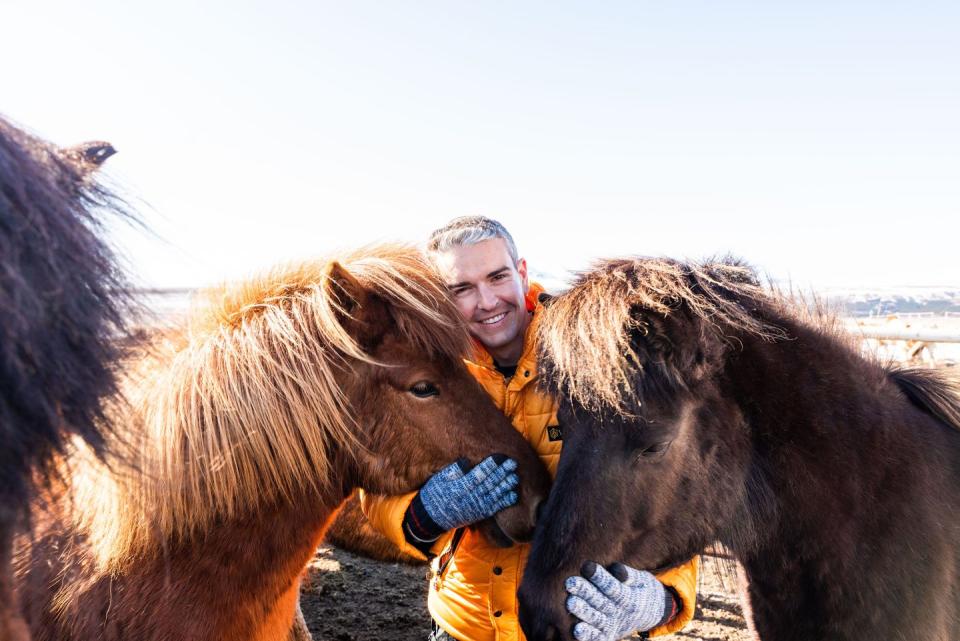 Icelandic Horses | Iceland