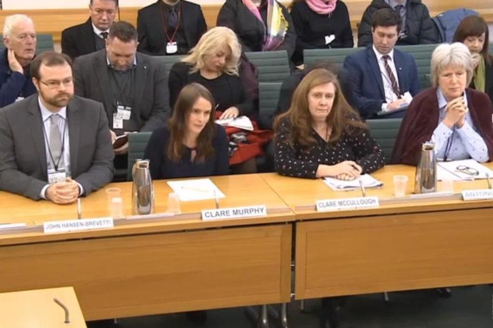 John Hansen-Brevetti from Marie Stopes in Ealing; Clare Murphy from the British Pregnancy Advisory Service; Clare McCullough from the Good Counsel Network; and Antonia Tully from the Society for the Protection of Unborn Children. (Parliament TV)