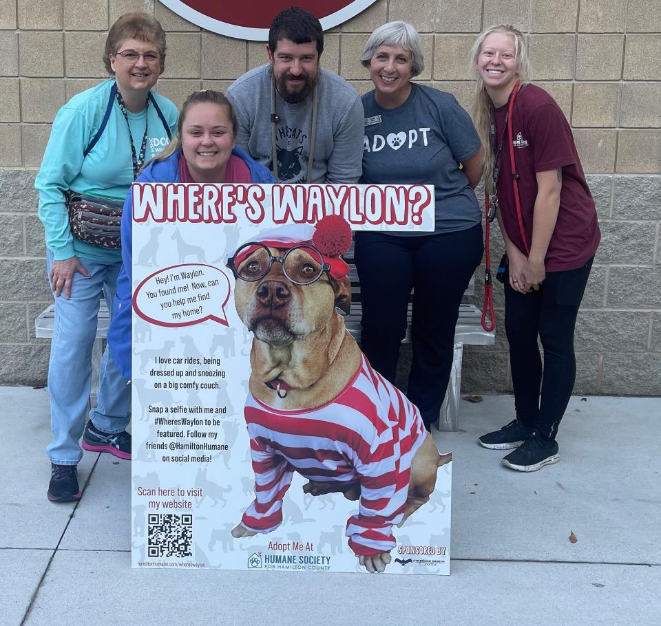 Where's Waylon dog adoption campaign