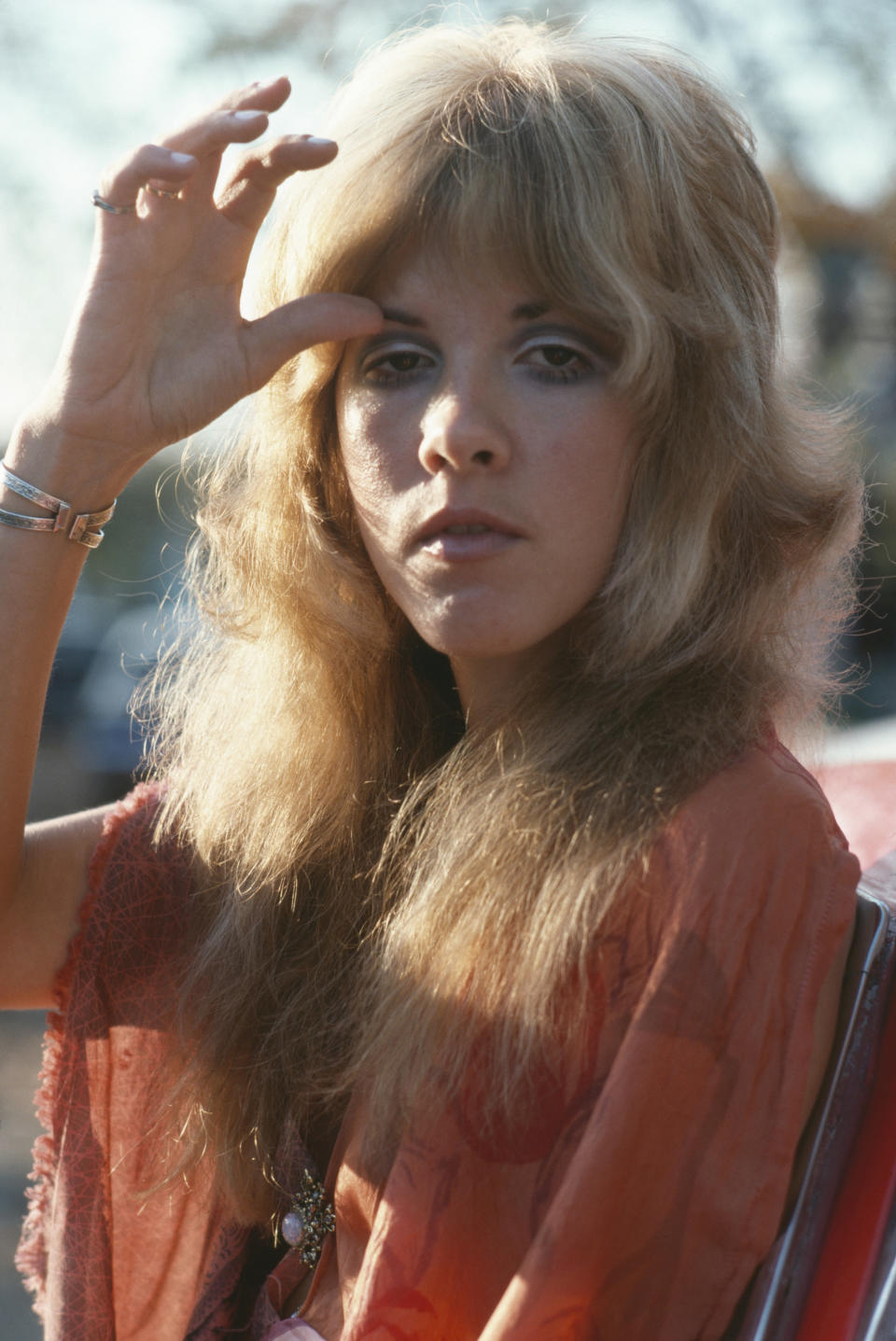 Closeup of Stevie Nicks