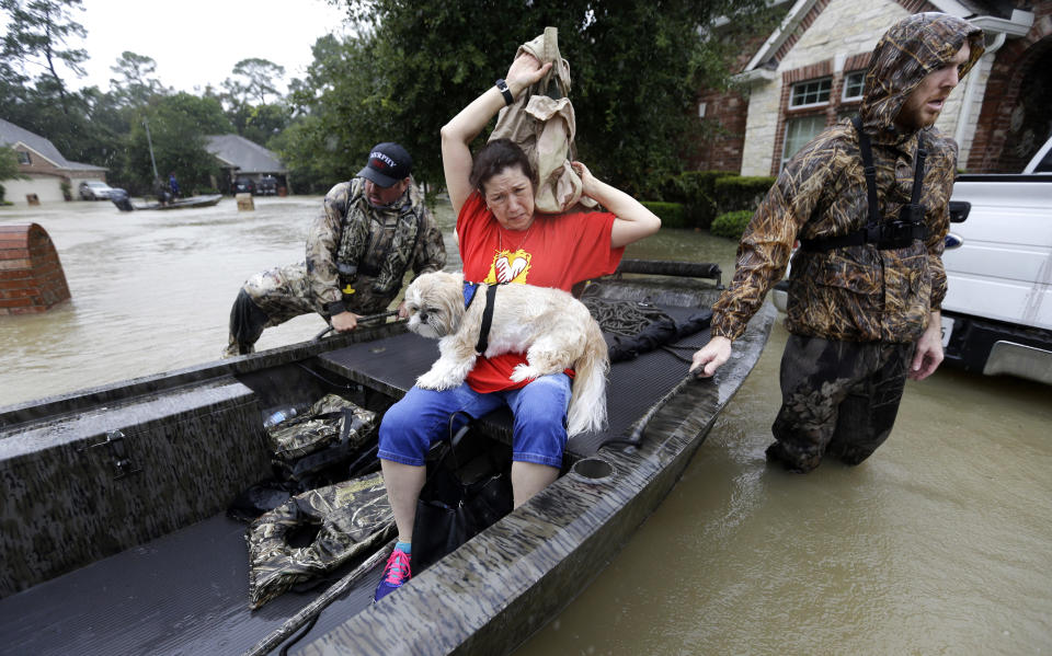 Animals rescued in the aftermath of Harvey