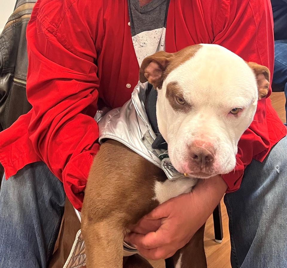 Jason, a guest at the shower ministry at First United Methodist Church in Newark, holds his faithful friend, Manny.