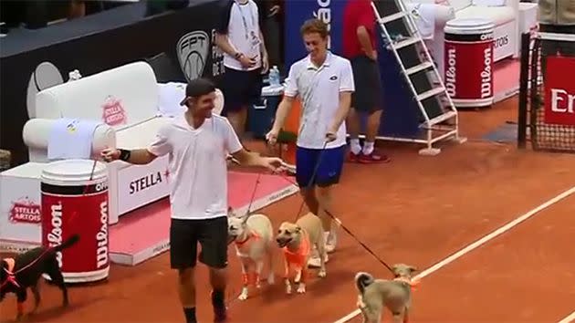 The players introduce the dogs to the crowd. Image: Brazil Open