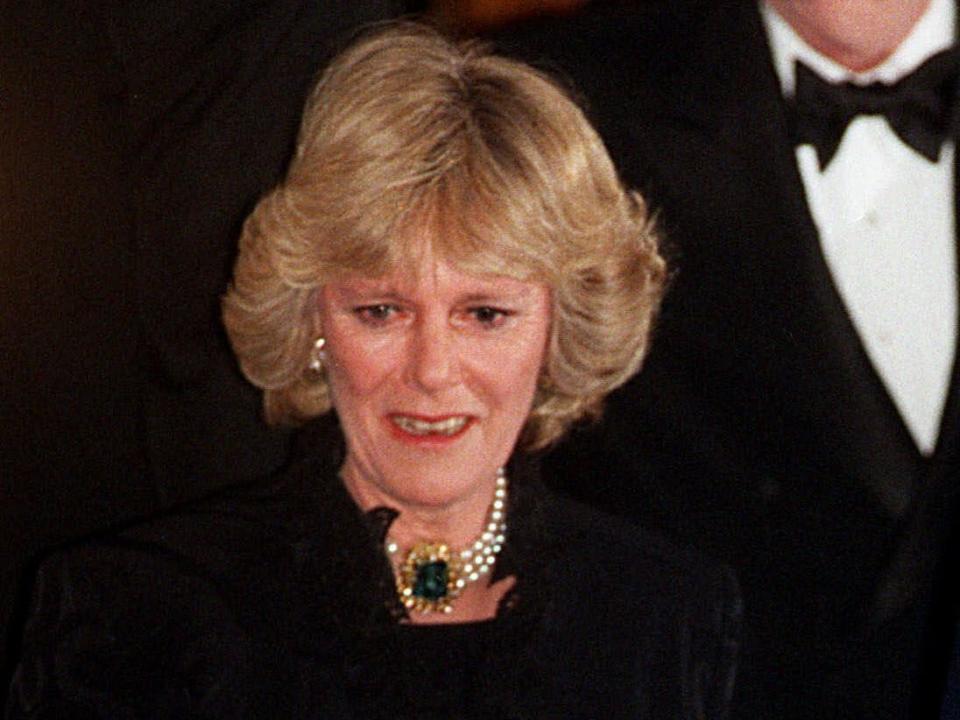 prince charles camilla parker bowles