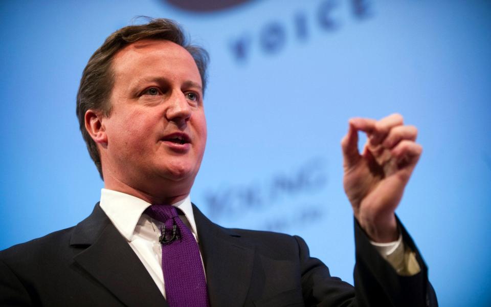 David Cameron in 2011 - Paul Grover