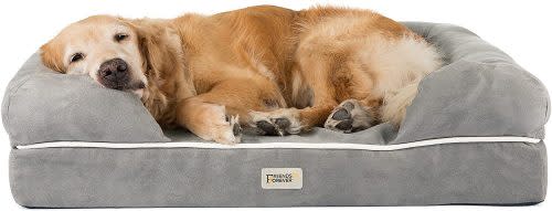 Friends Forever Lounge Dog Bed, Best dog beds for larger dogs