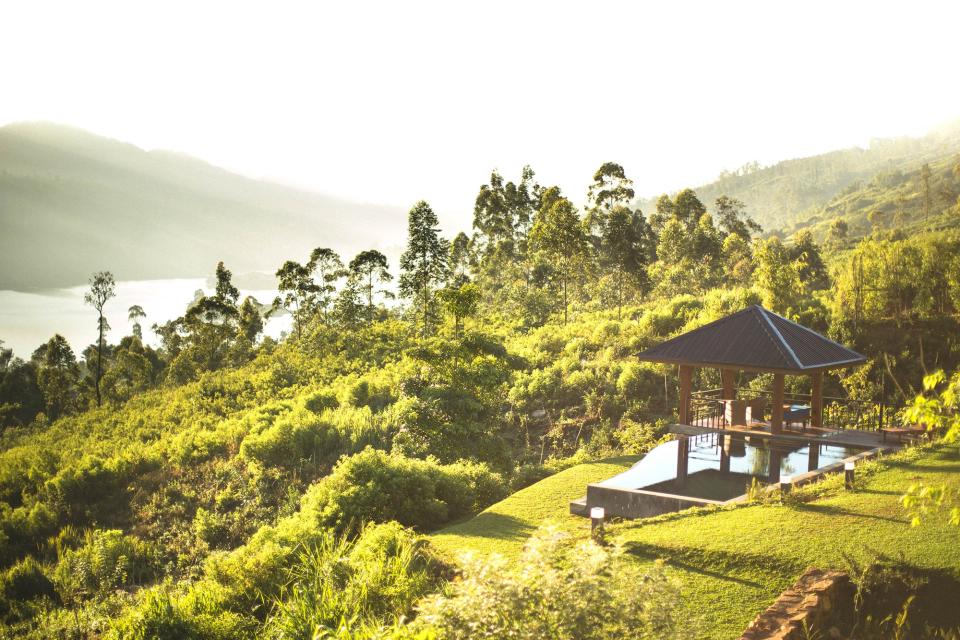 Learn about the origins of Sri Lanka's tea industry, and where it's going next, from the the hilltop town of Kandy to the forests of Hatton and the urban adventure of Colombo.