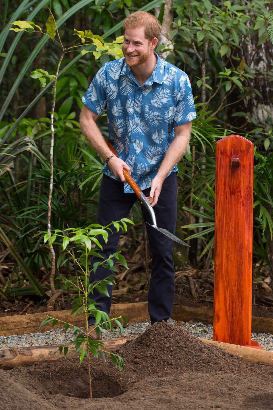 <p><strong>24 October </strong>Prince Harry planted a tree using the same spade used by Queen Elizabeth II on her visit to Fiji in 1953. </p>