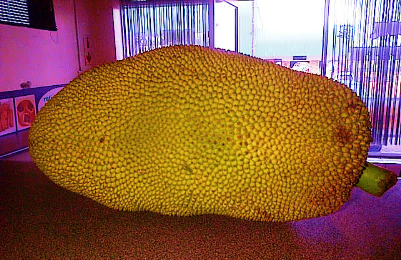 jackfruit