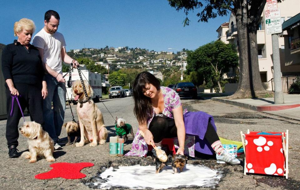 Artists David Luciano and Claudia Ficca turn potholes into works of art on the streets of Montreal, Canada – 2009 (SWNS)