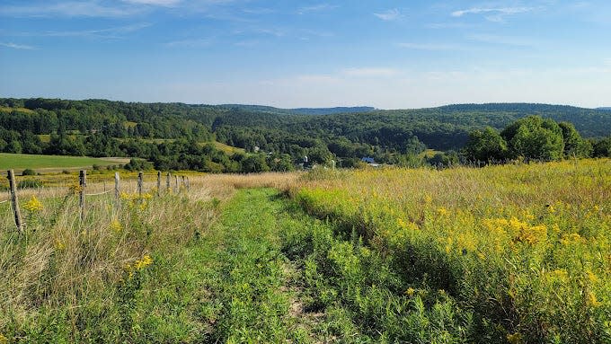 The view from Gaia’s Way at Hawkridge Farm in New Berlin. The non-profit farm provides fresh eggs to local food pantries, trauma-informed equine therapy to local veterans and stuffed animals made from alpaca fiber to children in foster care.