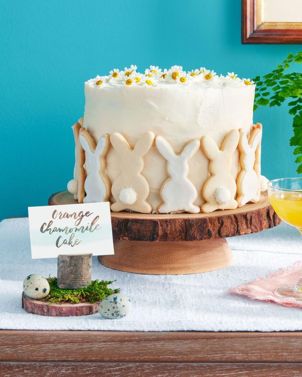 orange chamomile cake with bunny sugar cookies pressed around the outside on a wooden cake stand
