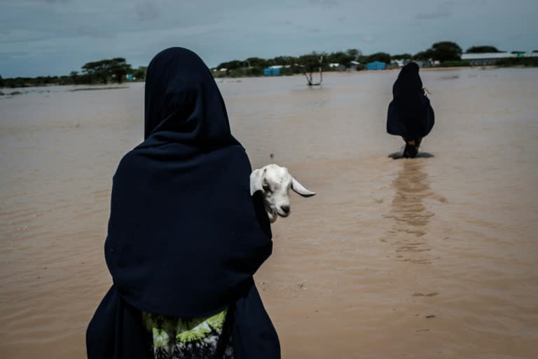 A woman refugee carries a young goat over floodwaters left by the Dadaab downpours in mid-April