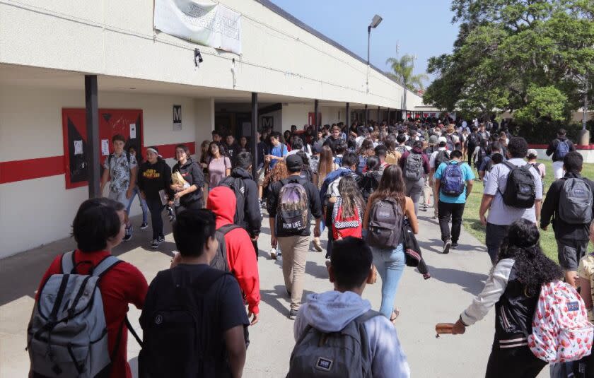 Students are seen from the back walking on campus.