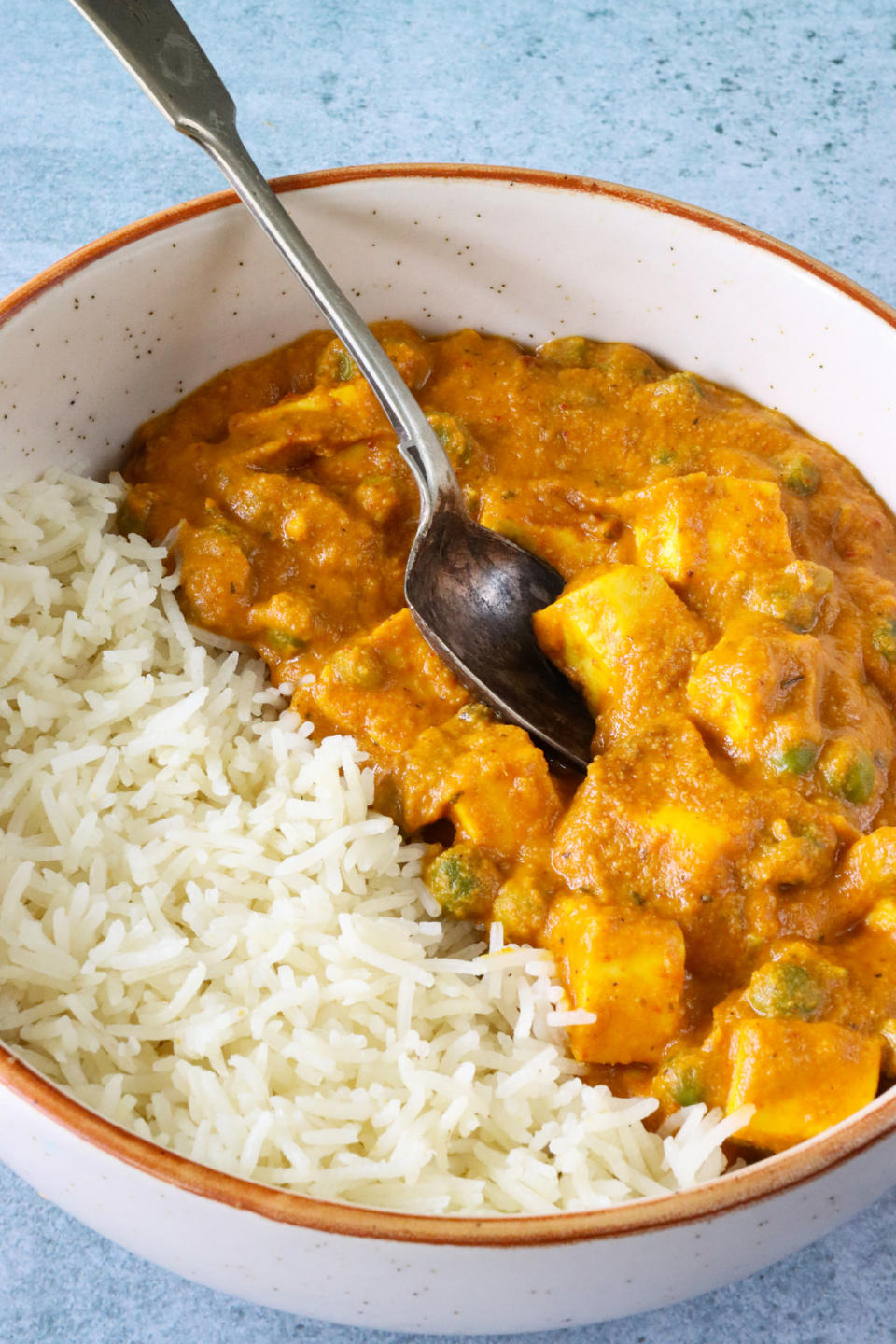 Indian curry over rice