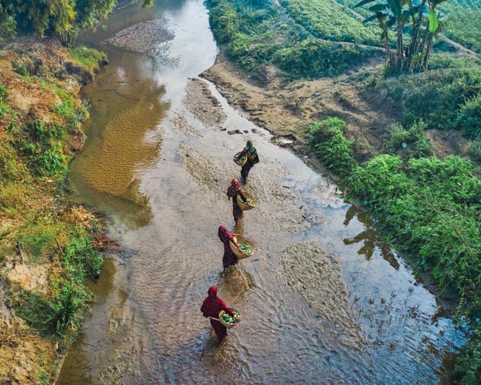 Returning with their freshly collected aubergines (WFP/Sayed Asif Mahmud)