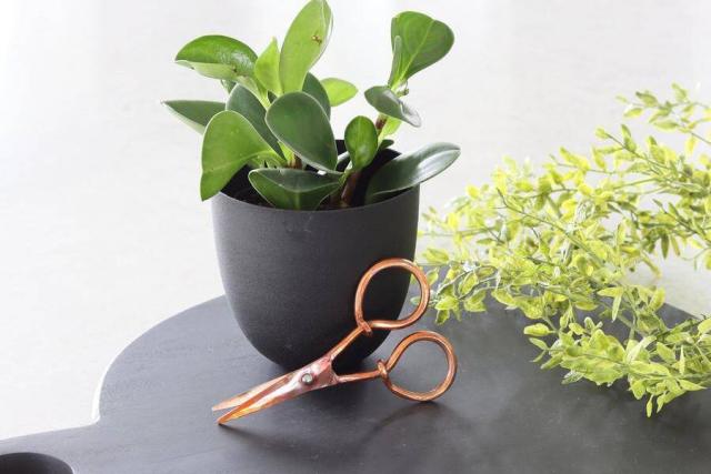 The Most Essential Flower-Arranging Tools