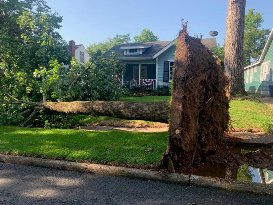 Trees down in South Highlands neighborhood in Shreveport, Louisiana. Following Severe Thunderstorm Friday morning. June 16, 2023.