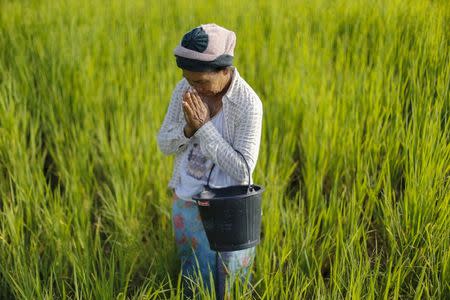 Rice farmer Boonhome Suaydee, 57, gestures in Khon Kaen, Thailand, September 14, 2015. REUTERS/Jorge Silva